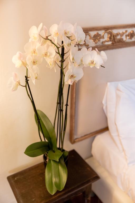 Firenze Rentals Suite Art Zewnętrze zdjęcie